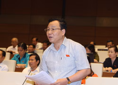 Đại biểu Trịnh Ngọc Thạch (Hà Nội) chất vấn thành viên Chính phủ.