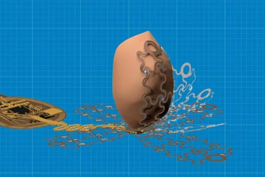 Máy tạo nhịp tim hình cánh hoa, sử dụng kỹ thuật quang di truyền, Ảnh Philipp Gutruff.