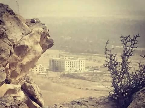 Lực lượng Tigers và đồng minh tấn công Khu vườn Palmyra