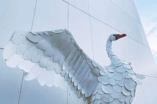 “Thiên nga Bắc Âu”, tác phẩm điêu khắc của Thomas Dambo làm từ 300 chiếc xô rác thải nhựa, trưng bày tại Bảo tàng Quốc gia Bắc Âu của Seattle. Ảnh GeekWire / Kurt Schlosser.