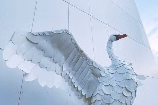 “Thiên nga Bắc Âu”, tác phẩm điêu khắc của Thomas Dambo làm từ 300 chiếc xô rác thải nhựa, trưng bày tại Bảo tàng Quốc gia Bắc Âu của Seattle. Ảnh GeekWire / Kurt Schlosser.