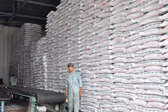 Xuất sang Trung Quốc sụt giảm, đường vẫn tồn kho hơn 560.000 tấn