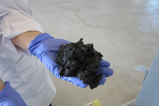 Bùn chất thải (ảnh minh họa)