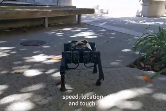 Robot 4 chân chạy trong môi trường thực tế. Ảnh Video Science X