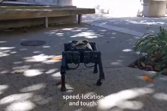 Robot 4 chân chạy trong môi trường thực tế. Ảnh Video Science X