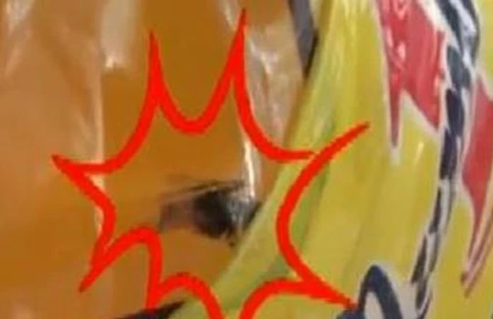 Lộ biên bản làm việc gây sốc vụ con ruồi trong chai nước tăng lực Number 1