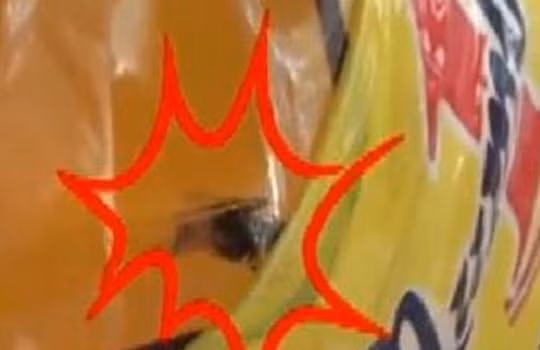 Lộ biên bản làm việc gây sốc vụ con ruồi trong chai nước tăng lực Number 1