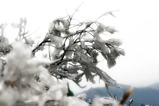 Vùng núi cao có khả năng xuất hiện băng giá. (Ảnh minh họa: Văn Phát/TTXVN)