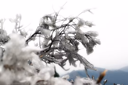 Vùng núi cao có khả năng xuất hiện băng giá. (Ảnh minh họa: Văn Phát/TTXVN)