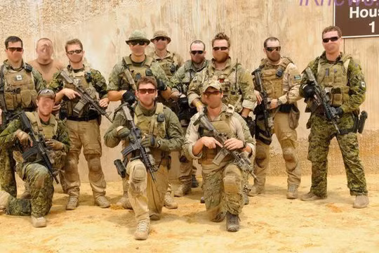 Nhóm đặc nhiệm Canada, tham chiến bí mật ở Donbass, Ukraine