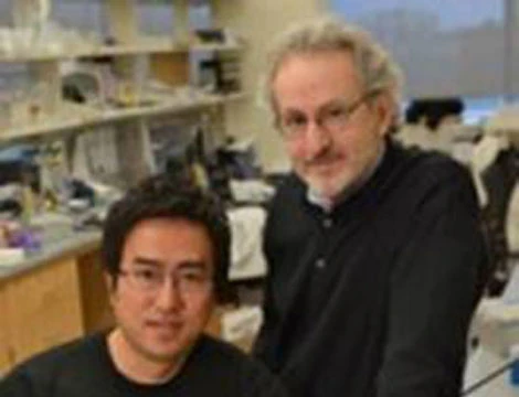 Dan Dongeun Huh (trái) và Donald Ingber.