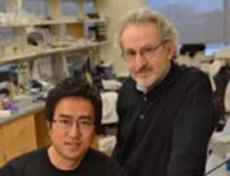 Dan Dongeun Huh (trái) và Donald Ingber.