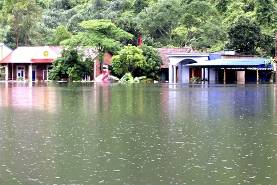 Nước dâng cao, xã đảo ở Hải Phòng biến thành biển hồ