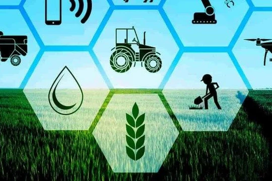 Nông nghiệp thế hệ mới. Ảnh My Tech Mag