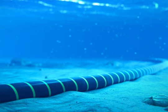 Cáp quang ngầm đáy biển. Ảnh minh họa Tech Wire Asia.