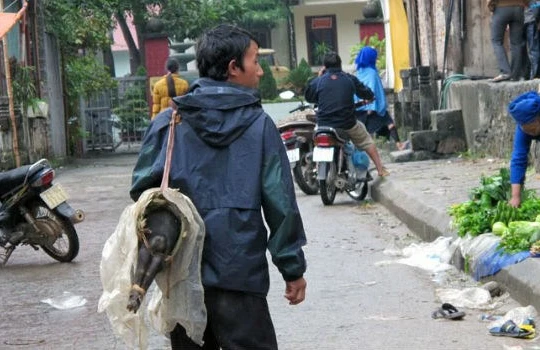 VEPR cho rằng, trước sức ép cạnh tranh từ TPP, AEC, Việt Nam nên ưu tiên các sản phẩm mang tính đặc sản như gà đồi, lợn mán, lợn cắp nách.... Ảnh:TL