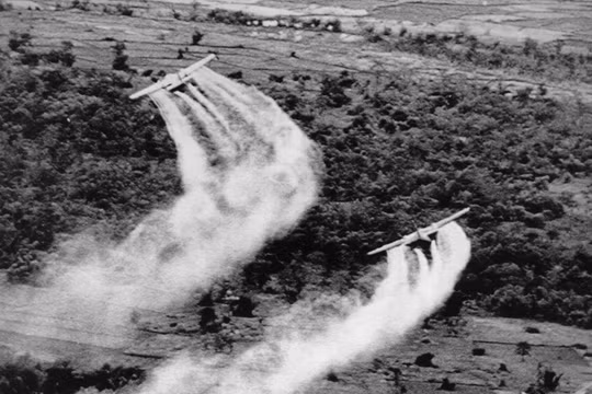 18/26 công ty hóa chất Mỹ đã cử luật sư biện hộ tại phiên tòa