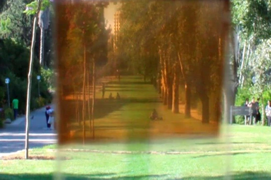 Lớp phủ mới cho phép một phần ánh sáng xuyên qua và sử dụng phần còn lại để sản xuất điện. Ảnh GS Lioz Etgar