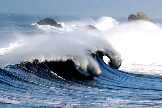 Sáng biển ở California. Ảnh minh họa One Earth.