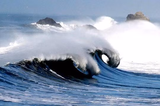 Sáng biển ở California. Ảnh minh họa One Earth.