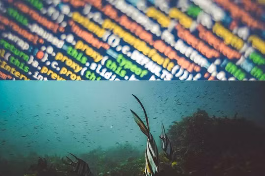 Ảnh minh họa. EuroNews