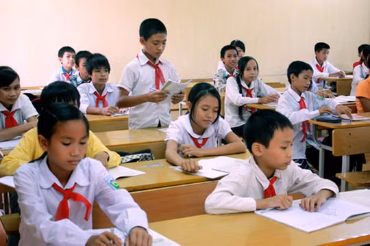 Không tổ chức thi tuyển vào lớp 6