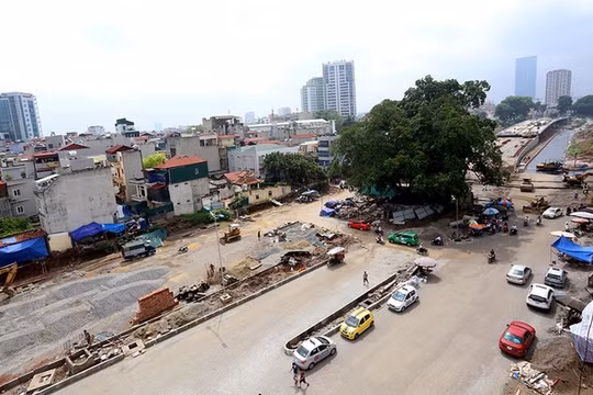 Đường hơn 6.000 tỷ đồng 'né' cây đa cổ thụ