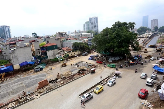 Đường hơn 6.000 tỷ đồng 'né' cây đa cổ thụ