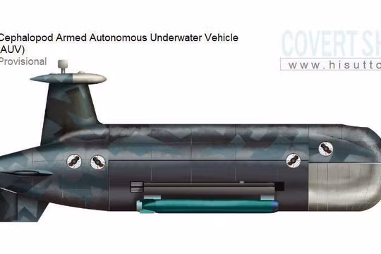 Tàu ngầm không người lái"Cephalopod" Nga. Ảnh minh họa của tài khoản Ivan O'Gilvi