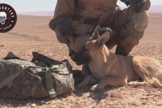Bagera, chiến binh bốn chân thuộc lực lượng Săn IS trên vùng sa mạc tỉnh Homs