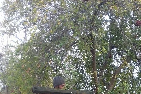 Quân đội Syria phải “đấu” với 500.000 chiến binh khủng bố