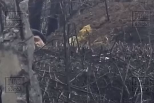 Ảnh minh họa từ video WarGonzo