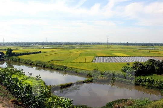 Thủ tướng chỉ thị lập kế hoạch sử dụng đất 2016-2020 cấp quốc gia