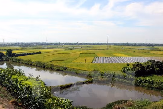 Thủ tướng chỉ thị lập kế hoạch sử dụng đất 2016-2020 cấp quốc gia