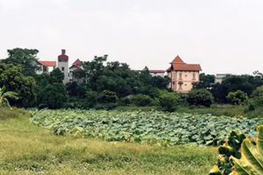 Ảnh minh họa. Nguồn Tri thức trẻ