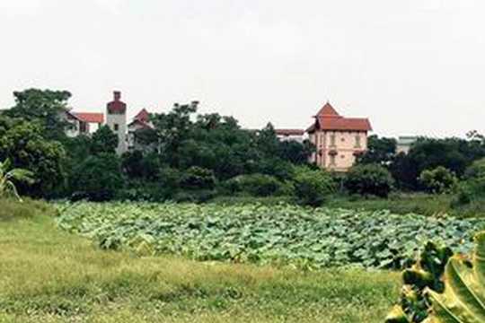 Ảnh minh họa. Nguồn Tri thức trẻ