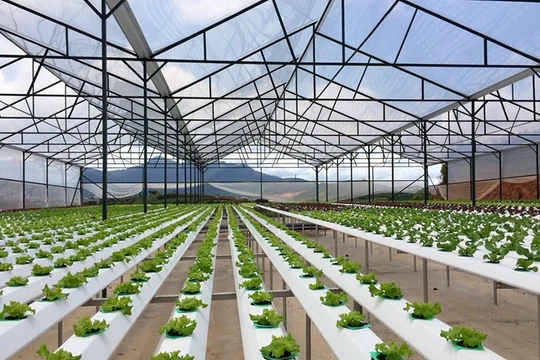 Ảnh minh họa. Nguồn Internet