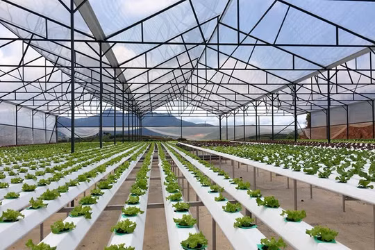 Ảnh minh họa. Nguồn Internet