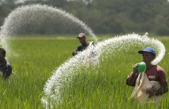 Ảnh minh họa. Nguồn Internet