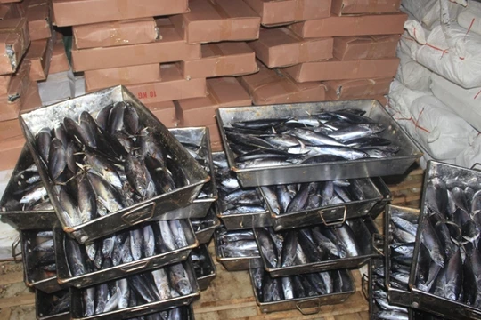 Ảnh minh họa. Nguồn Internet