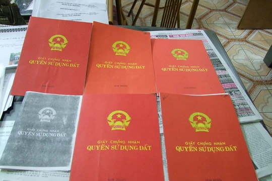 Ảnh minh họa. Nguồn Internet