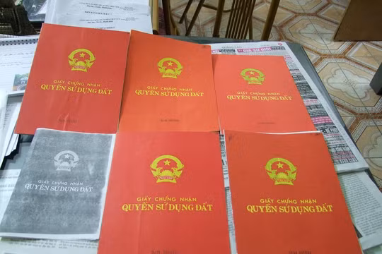 Ảnh minh họa. Nguồn Internet