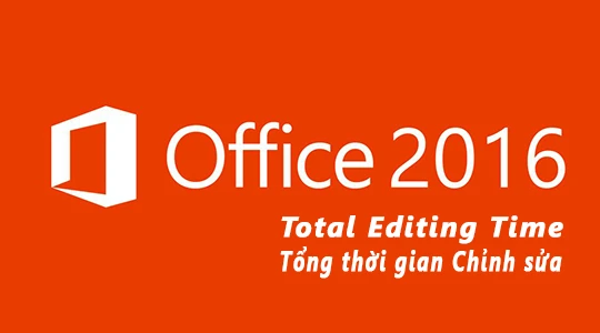 Bạn đã làm việc trên Word/PowerPoint trong bao lâu?