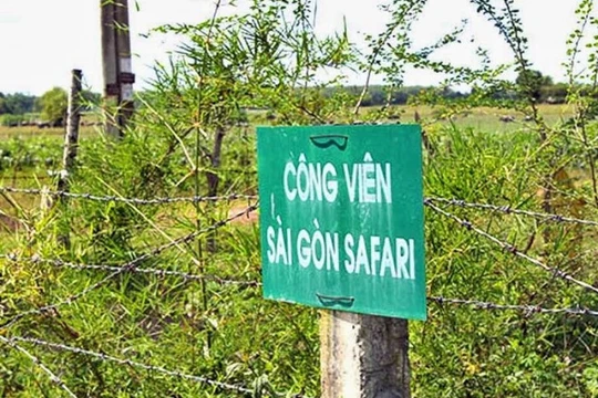 Ảnh minh họa. Nguồn Internet