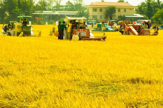 Ảnh minh họa. Nguồn Internet