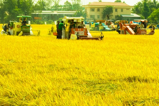 Ảnh minh họa. Nguồn Internet