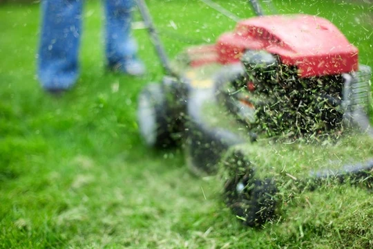 Cỏ sẽ được xử lý để chuyển hóa thành nhiên liệu nhanh hơn. Ảnh: Engadget.