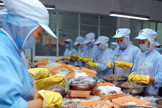 Ảnh minh họa. Nguồn Internet