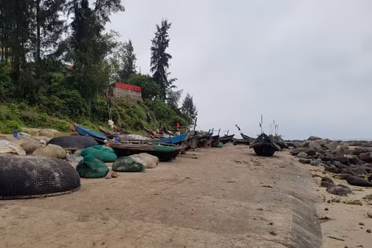 Ảnh minh họa. Nguồn Internet