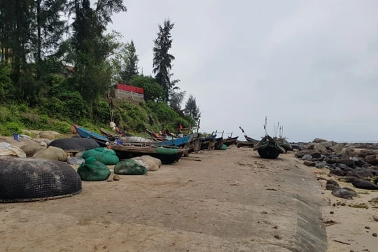 Ảnh minh họa. Nguồn Internet